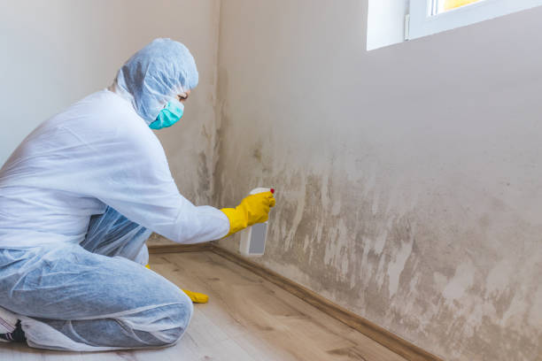 Mold Remediation specialist working in York Springs